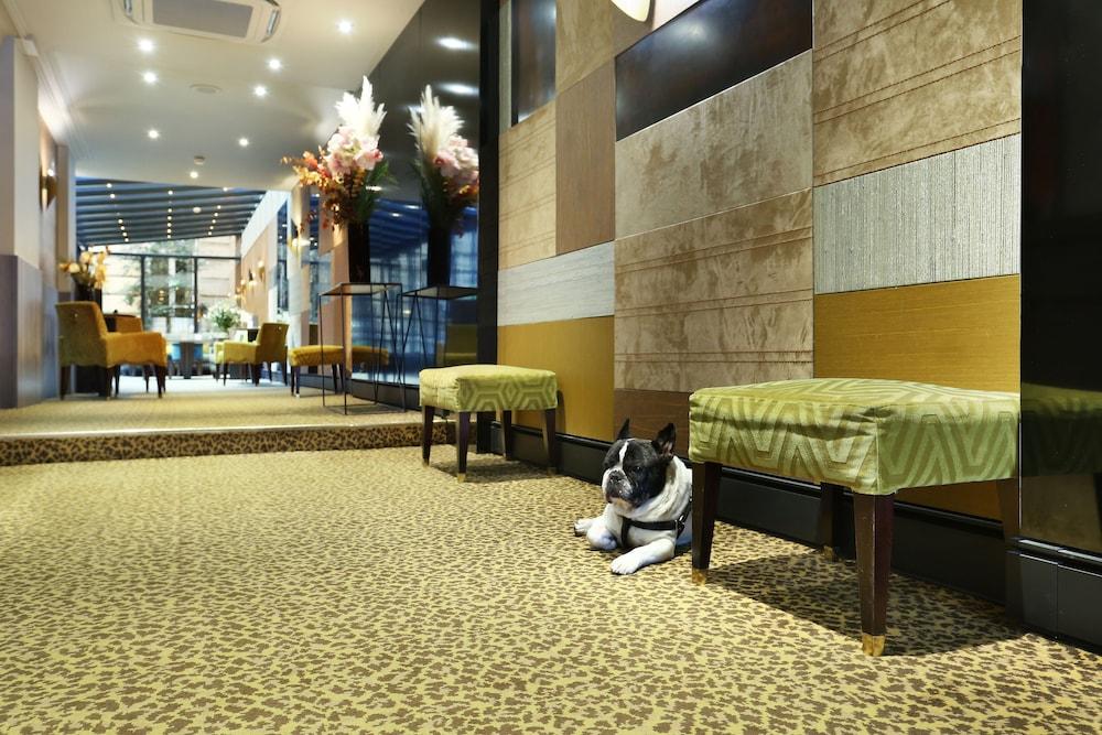 Hotel Concortel Париж Экстерьер фото